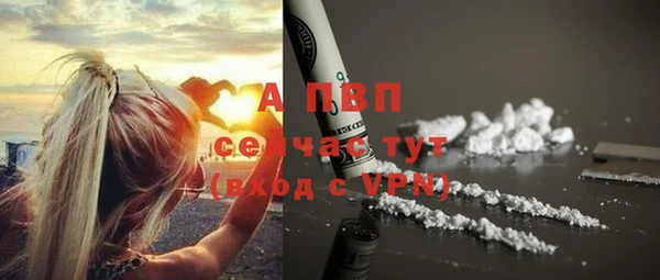 ГАЛЛЮЦИНОГЕННЫЕ ГРИБЫ Тутаев