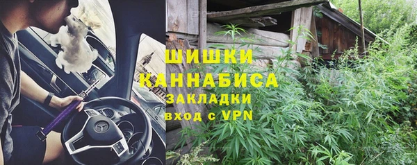 МДПВ Туринск