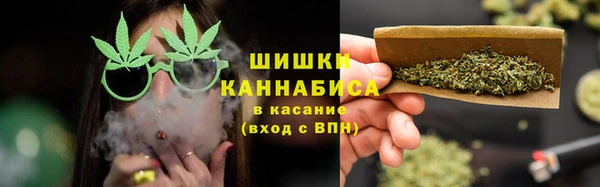 ГАЛЛЮЦИНОГЕННЫЕ ГРИБЫ Тутаев