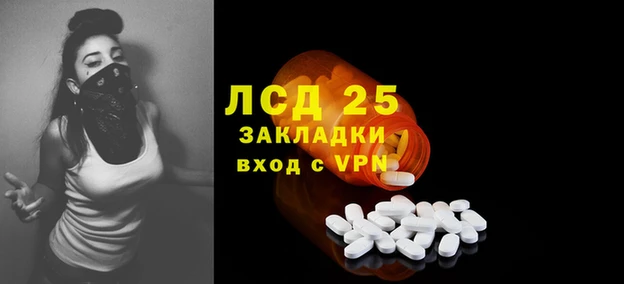 МДПВ Туринск