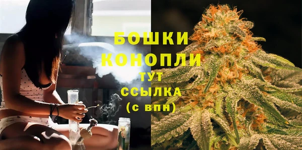МДПВ Туринск