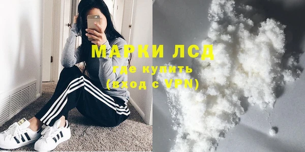 ГАЛЛЮЦИНОГЕННЫЕ ГРИБЫ Тутаев