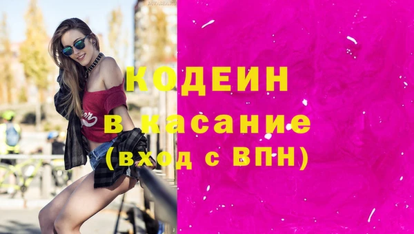 МДПВ Туринск
